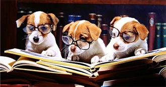 A Few Good Books With Dogs in Them