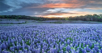 2018-19 Texas Bluebonnet Books