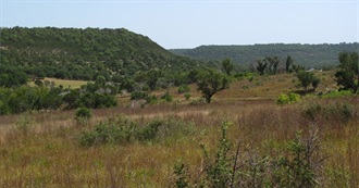 Important Bird Areas: Chihuahuan Desert &amp; Edwards Plateau