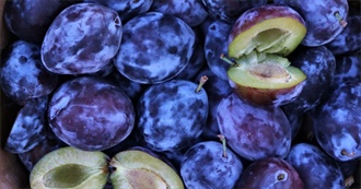 30 Foods With Plums and Prunes