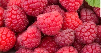 Raspberry Foods