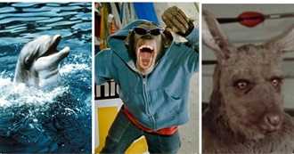 10 Live-Action Films Where the Main Character Is an Animal According to CBR