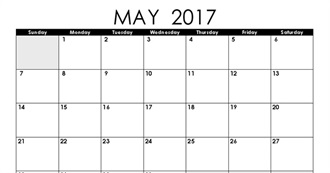 Movies Lou Watched in May 2017