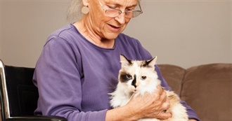 The 25 Best Cat Breeds for Seniors