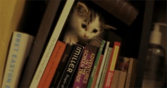 Books Kitten Plans to Read