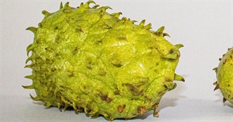 Foods With Soursop