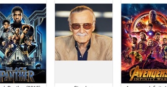 Movies With Stan Lee Cameo&#39;s Seen by SW