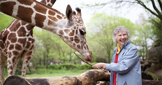 Giraffes in Cinema