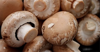 Copper - Top 10 Mushrooms