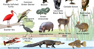 Swamp,Bog, and Marsh Animals