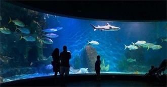 Best and Most Unique Aquariums