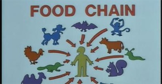 How Many Critters Have You Eaten