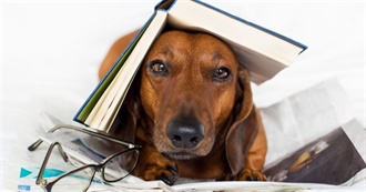 Read a Book, Good Boy! Books About Dogs