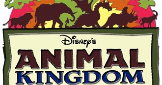 Animal Kingdom Attractions