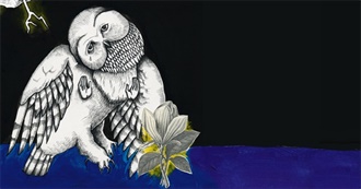 Jason Molina Full Discography