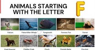 &quot;F&quot; Animals