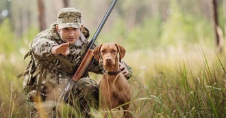 Hunting Dog Breeds