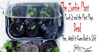 Top Gift List for Zombie and or Plant Lovers!