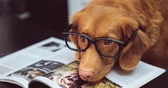 Books That Feature Dogs