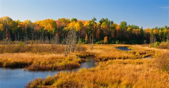 Important Bird Areas: Boreal Forest &amp; Prairie Hardwood Transition