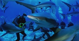 Swimming With Sharks and Other Animal Adventures