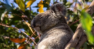 Books Set in Queensland