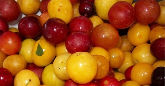 Foods That Go Well With Plums