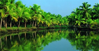 Things to Do in Kerala