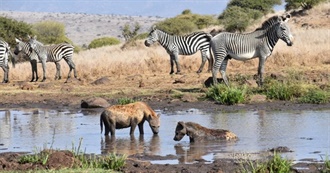 Top 10 Animals in Kenya