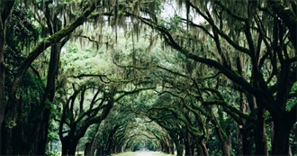 20 Must-Read Southern Gothic Novels