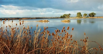 California&#39;s Birding Hotspots