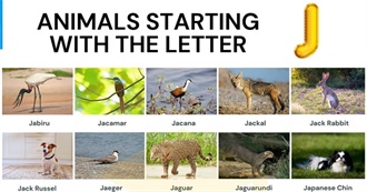 &quot;J&quot; Animals