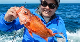 Commonly Caught Fish Species: Californian Ocean Fishing