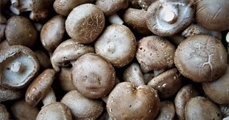 10 Foods With Shiitake Mushrooms