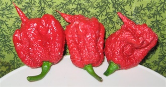 Top 10 World&#39;s Hottest Peppers+Bonuses ((2019 Update)According to Pepperhead.com))