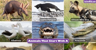 &quot;A&quot; Animals