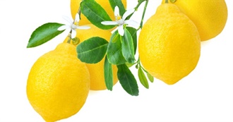 Lemon Foods