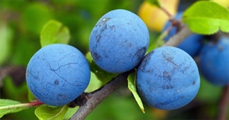 International Fruit Day - Top 10 Minerals Fruits