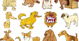 How Many of These Famous Dogs Do You Recognize?