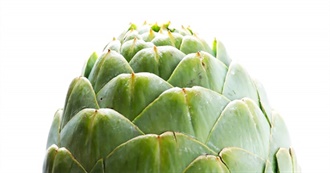 Artichoke