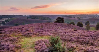 Lonely Planet&#39;s Top Experiences and Sights in the Netherlands: Gelderland &amp; Overijssel