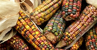 10 Corn Varieties