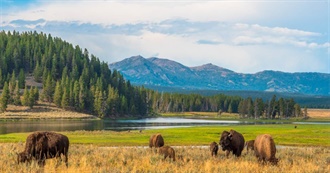 National Parks in America