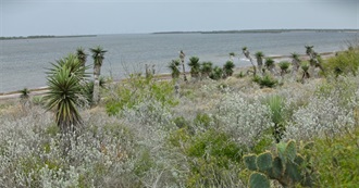 Important Bird Areas: Gulf Coastal Prairie &amp; Tamaulipan Brushlands