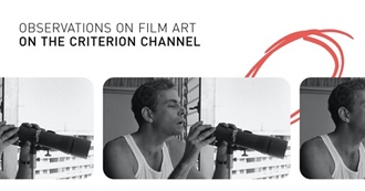 Criterion Channel: Observations on Film Art Series