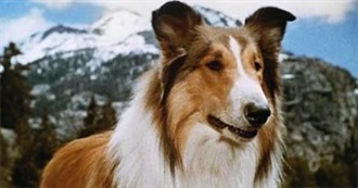 Lassie