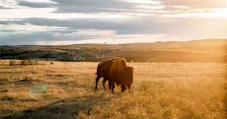 10 Best Places to Visit in North Dakota