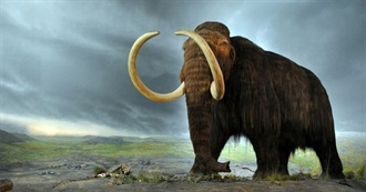 10 Animals That Became Extinct