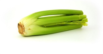 Foods With Celery