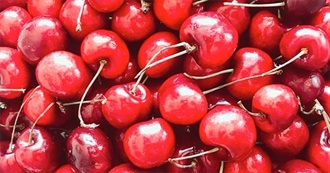 Cherry Everything